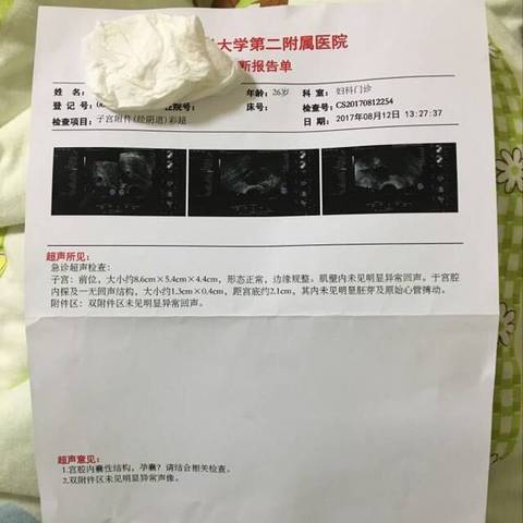 journal_insert_pic_813674834