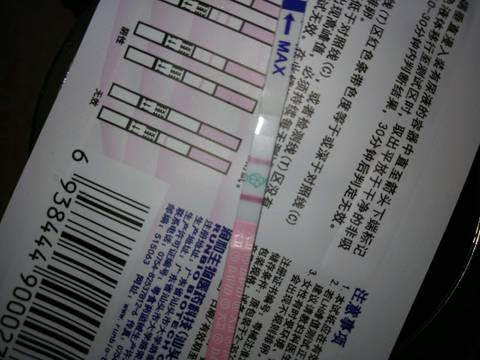 journal_insert_pic_813447421