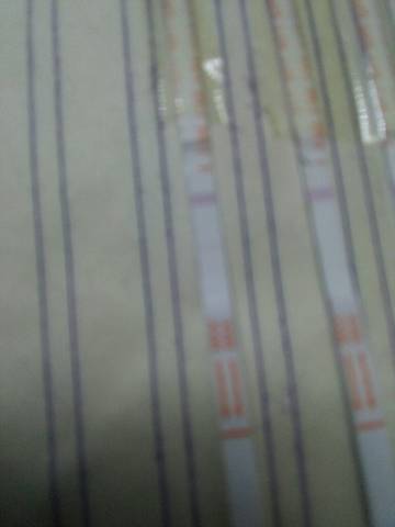 journal_insert_pic_813898351