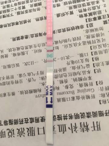 journal_insert_pic_815401081