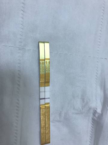 journal_insert_pic_817450776