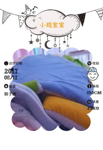 journal_insert_pic_817855684