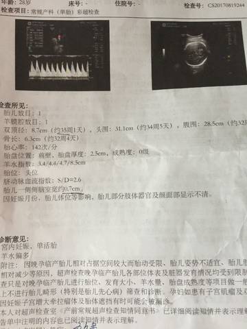 journal_insert_pic_818797889