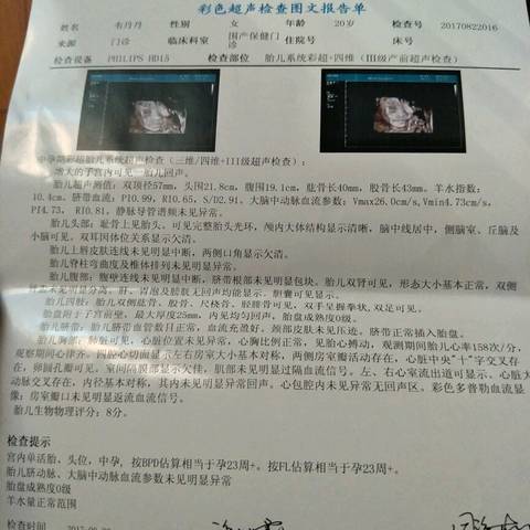 journal_insert_pic_821098514