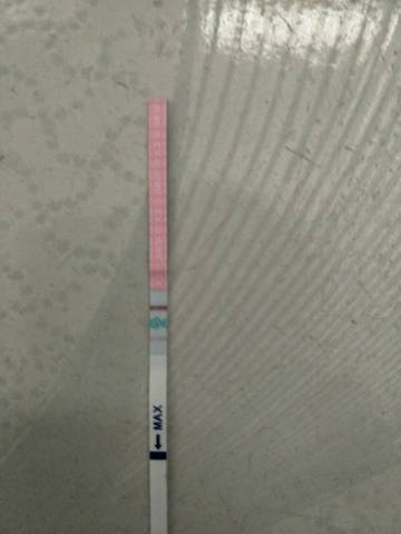 journal_insert_pic_820906494