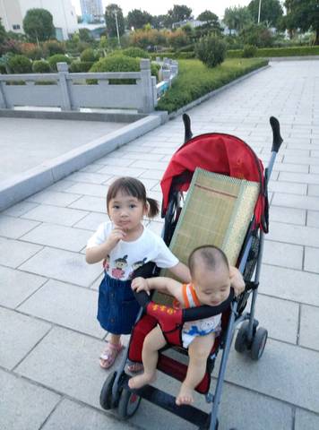 journal_insert_pic_821035987