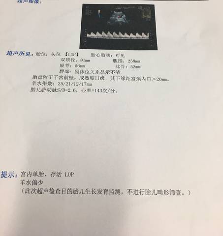 journal_insert_pic_821962114