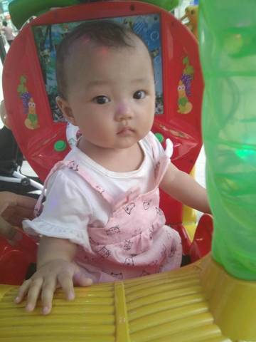journal_insert_pic_823556241