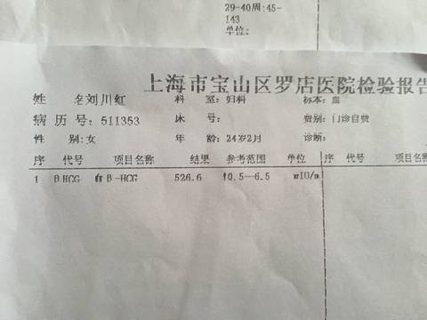 journal_insert_pic_823654922