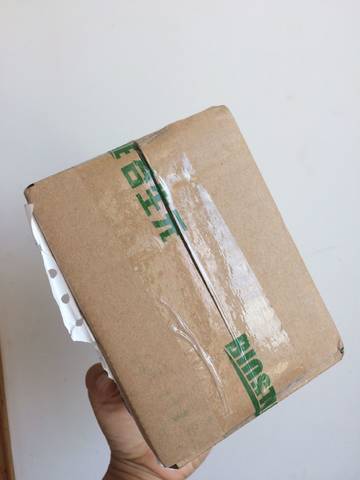 journal_insert_pic_823308296