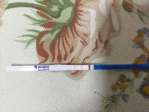 journal_insert_pic_823902234