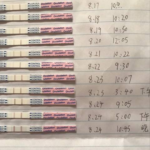 journal_insert_pic_823417341