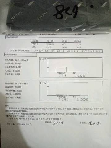 journal_insert_pic_823590902
