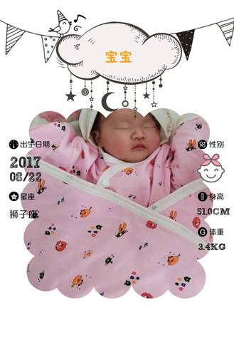 journal_insert_pic_824237312