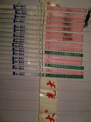 journal_insert_pic_824048669