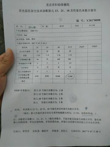 journal_insert_pic_824188915