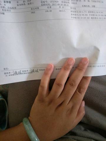 journal_insert_pic_824205044