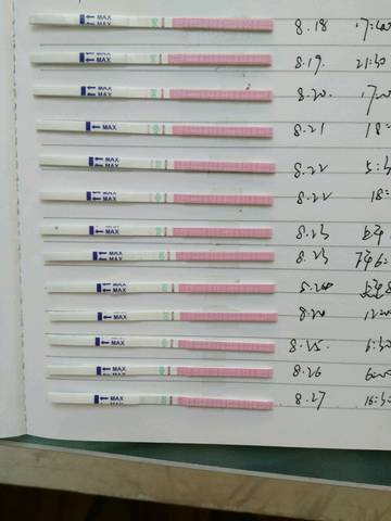 journal_insert_pic_825291218