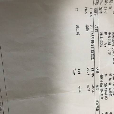 journal_insert_pic_825221783