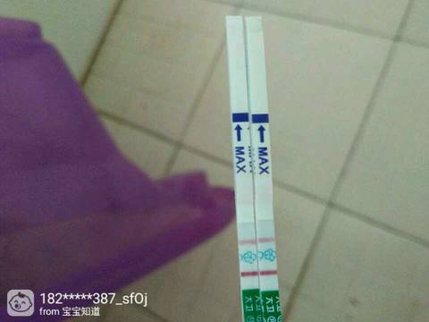 journal_insert_pic_825855082