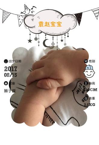 journal_insert_pic_827454095
