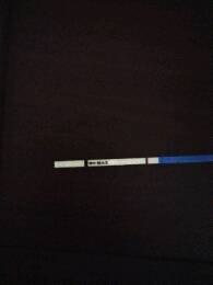 journal_insert_pic_827587410