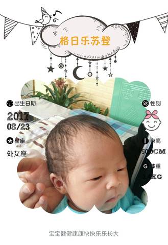 journal_insert_pic_827965475