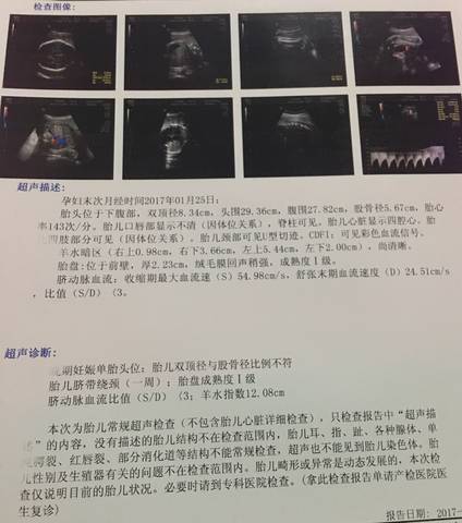 journal_insert_pic_828975400