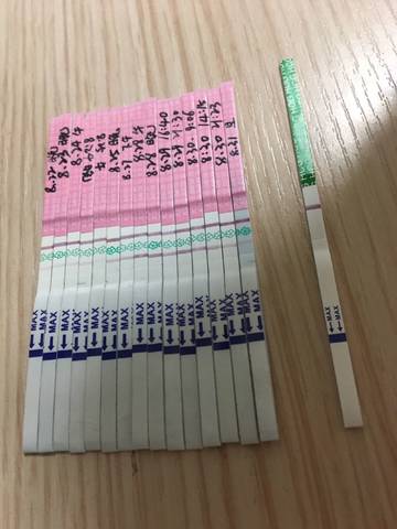 journal_insert_pic_828389378