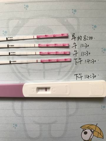 journal_insert_pic_829362864