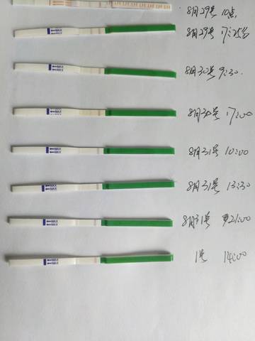 journal_insert_pic_829390414