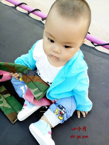 journal_insert_pic_830281905