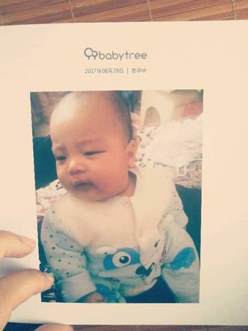 journal_insert_pic_830093255