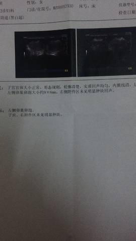 journal_insert_pic_831229698