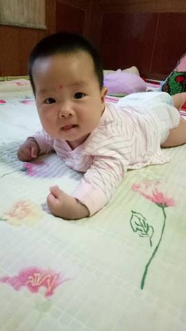 journal_insert_pic_831815949