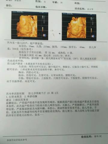 journal_insert_pic_832354723