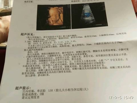 journal_insert_pic_832375664