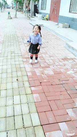 journal_insert_pic_832276298
