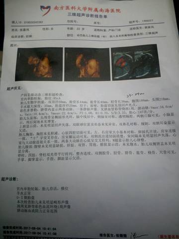 journal_insert_pic_833063667