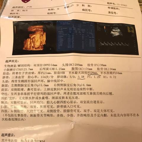 journal_insert_pic_832822567