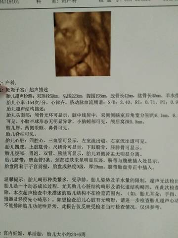 journal_insert_pic_833151548