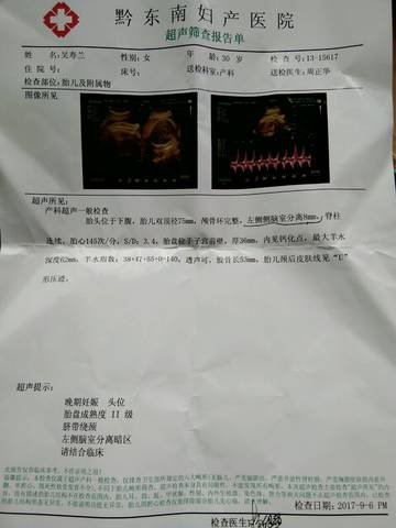 journal_insert_pic_833185202