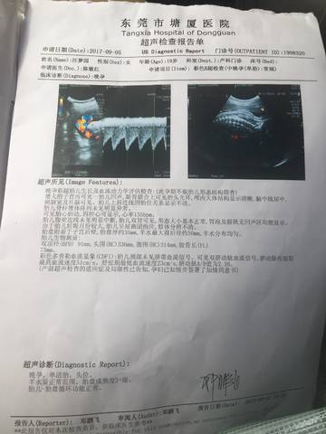 journal_insert_pic_833451747