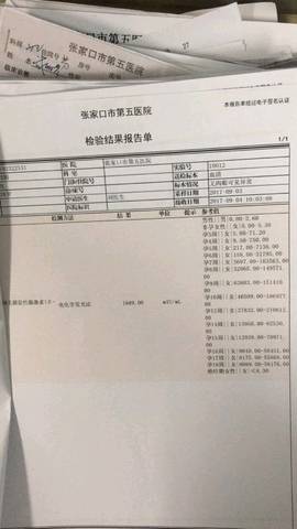 journal_insert_pic_833863388