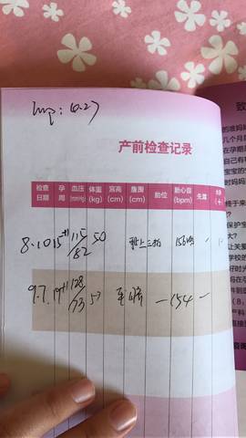 journal_insert_pic_833589568