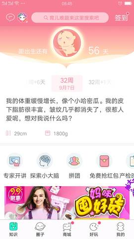 journal_insert_pic_833539495