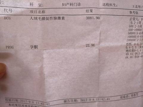 journal_insert_pic_834489852