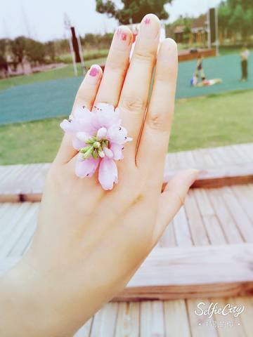 journal_insert_pic_834223133