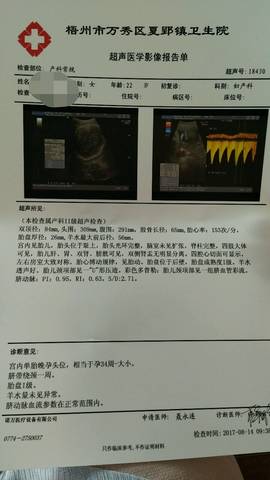 journal_insert_pic_834464528