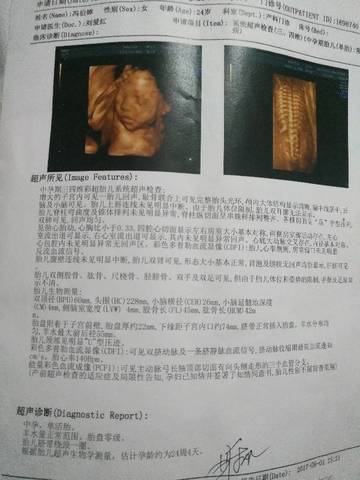 journal_insert_pic_834696864
